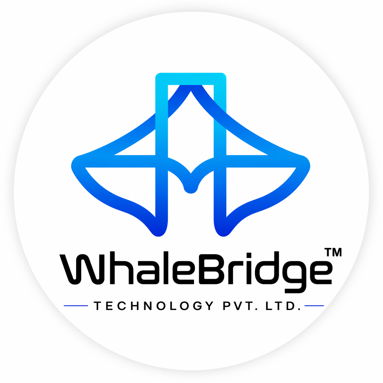 WhaleBridge Hub Logo